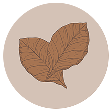 Tobacco